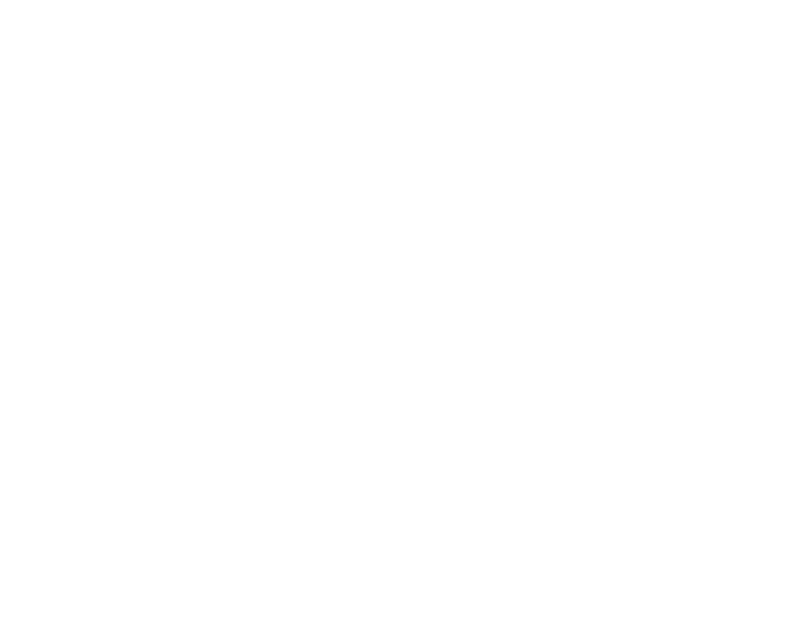 Ecoelectric.com